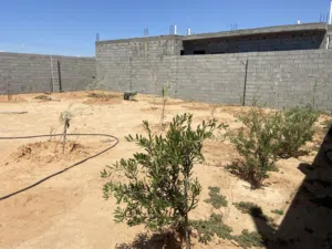 استراحة للبيع