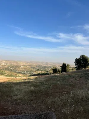 Farm Land for Sale in Mafraq Dahl
