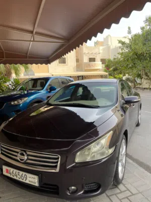 Used Nissan Maxima in Muharraq