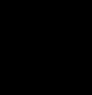 XYW 