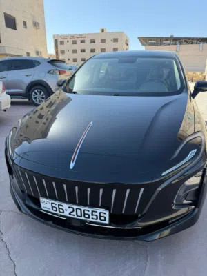 Used Hongqi E-QM5 in Irbid