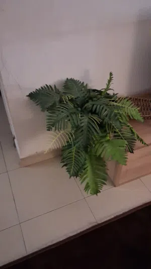 اغراض بحاله ممتازه