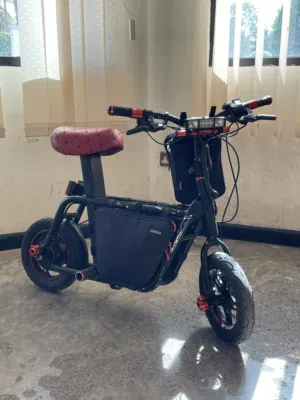 fiido q1 electric scooter