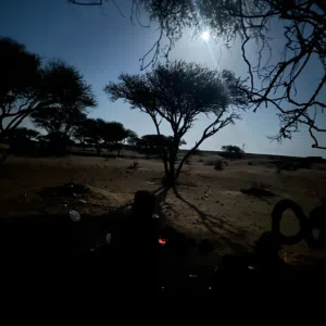 ابراهيم الدويب 