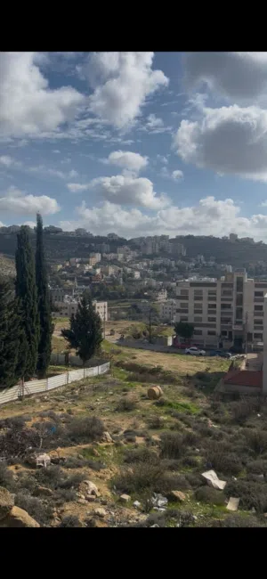 Residential Land for Sale in Amman Naour