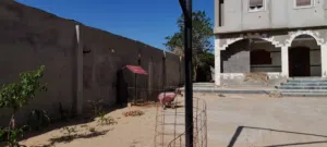 جزار العيد