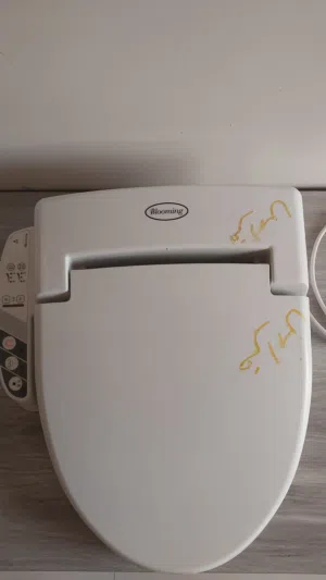 مقعدة إلكترونية ذكية Blooming SE-900 كورية