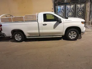 شفر سيرا لبيض