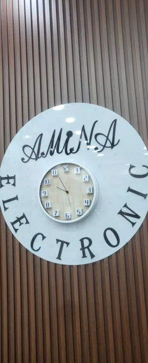 Amina Electronics 