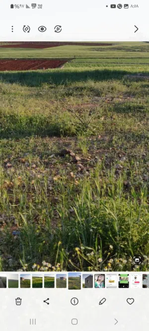 Mixed Use Land for Sale in Irbid An-Nuayyimah