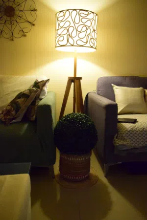 Floor lamp with delicate lighting