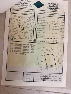 طيمساء 1 من الاراضي المميزة