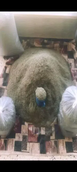 زعتر واكليل الجبل