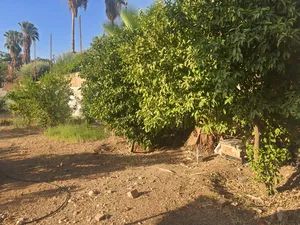 3 Bedrooms Farms for Sale in Jordan Valley Other
