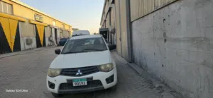 مستو بيشي 2011