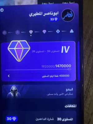 بيع تيك توك لفل 33