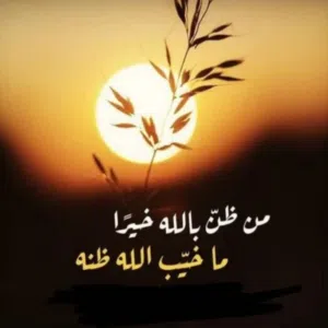 abo 