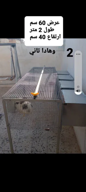4 قفاص لتربية الارانب