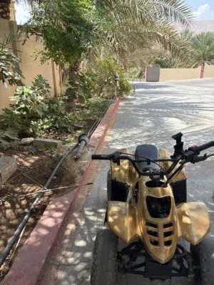 دراجة نارية أربع عجلات الوصف مهم جداً ويرجى التواصل عبر التطبيق أو الواتساب وعدم الاتصال
