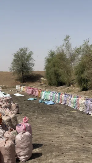 سماد دجاج متوفر بكميات كبيرةةة الجونية ب 400 بيسة