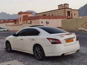 مكسيما 2011