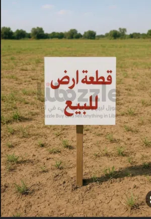 ارض تجاريه للبيع في مدينه زايد حي العاصمه