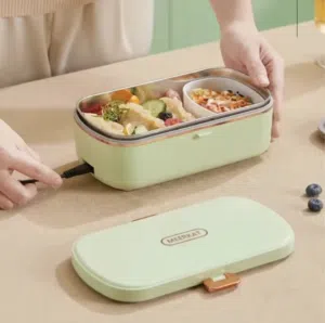 Electric lunch box