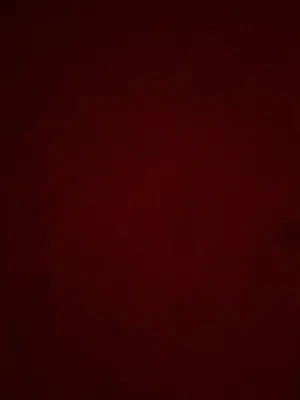 للبيع بيسي شوف وصف