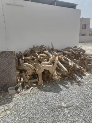 حطب سمر ممتاز