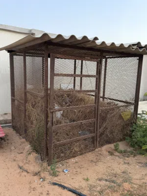 قفص للبيع  المكان الباعيش