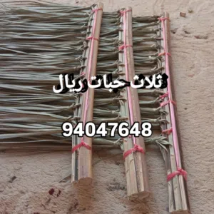 مخام من سعف النخيل