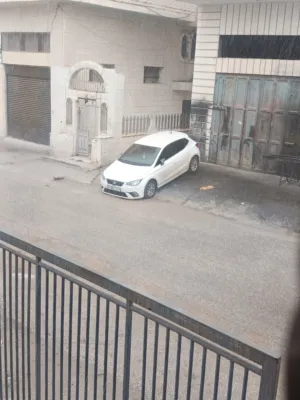 Seat Ibiza Excellence 2019