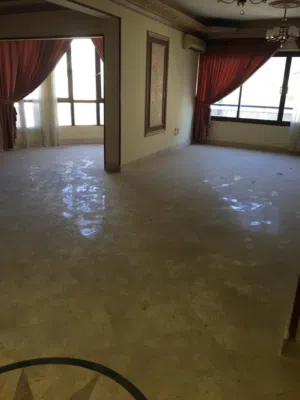 شقه 300 م دوبلكس بموقع مميز جدا بالدقي تشطيب هاي سوبر لوكس برج فخم 2 اسانسير