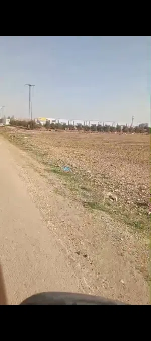 ارض للايجار في منطقه القسطل طريق المطار بسعر مميز جدا