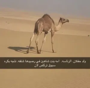 وصل سوم 16