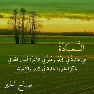 محمد  الفوارس 