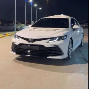 شادي الشرفات 