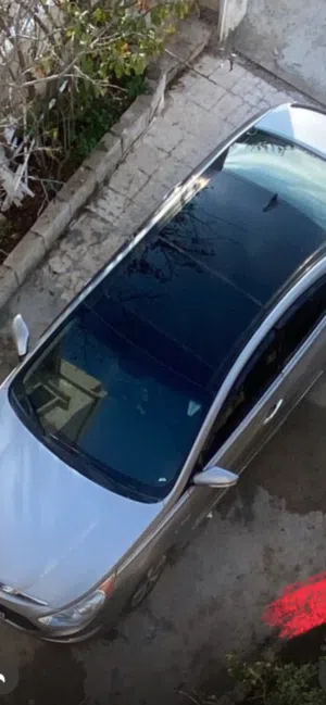 سوناتا ، هايبرد