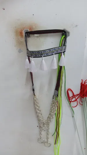 صريمه عمانيه