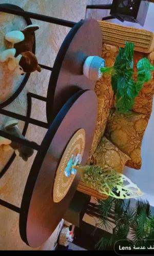 طوايل عدد 2
