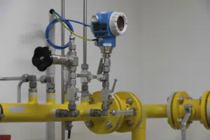 LPG Gas Fitting