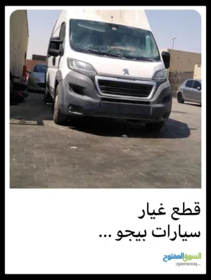 قطع غيار بيجو و اكس بيرت وبوكسر