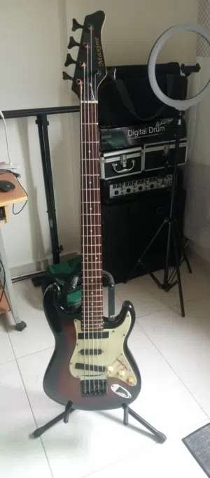 Maxin bass guitar