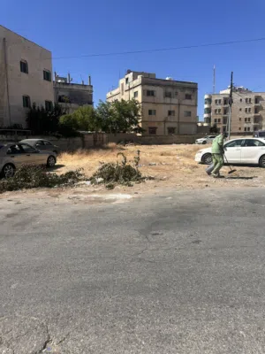 Residential Land for Sale in Amman Daheit Al-Haj Hassan