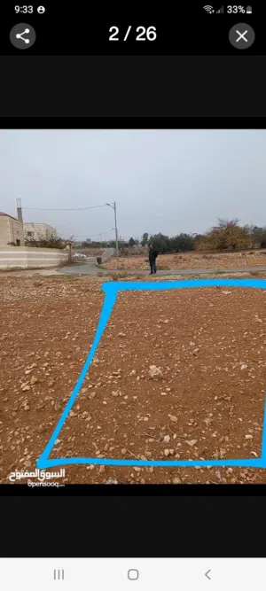ارض للبيع الشوبك