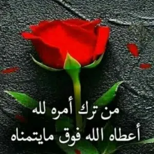 طلال الجوارنة
