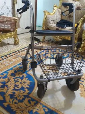 عربانه لكبار السن