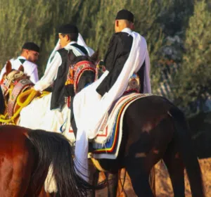احمد مروان 