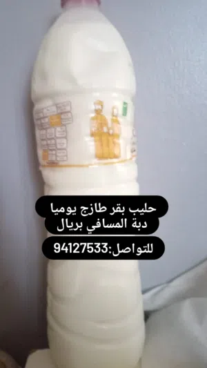 حليب بقر عماني طازج