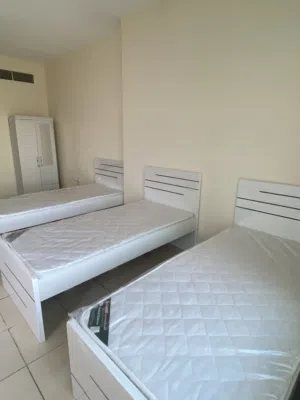 سكن بنات عربيات في عجمان